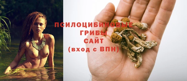 МДПВ Алексин