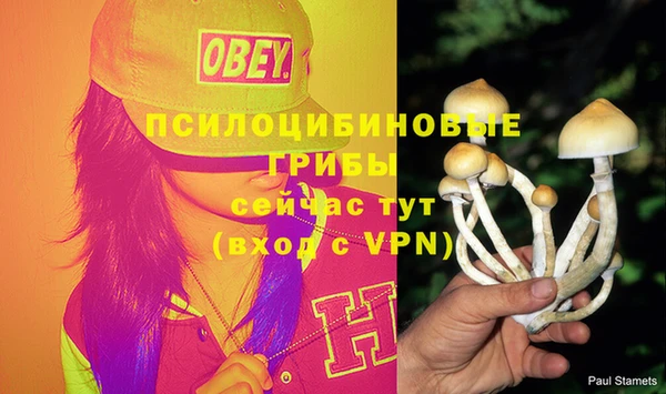 эйфоретик Новозыбков
